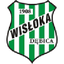 Wisłoka Dębica