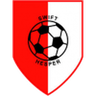 Swift Hesperange logo