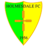 Holmesdale logo