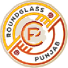 Minerva Punjab logo