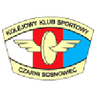 Czarni Sosnowiec W logo