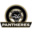 Panthères