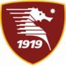 Salernitana U19 logo