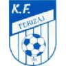 Ferizaj logo