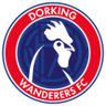 Dorking Wanderers logo