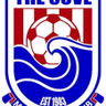The Cove logo