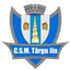 CSM Targu Jiu