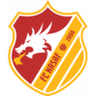 Nasaf logo