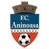 Pucioasa logo