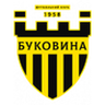 Bukovyna logo