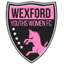 Wexford Youths W