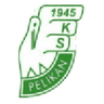Pelikan Łowicz logo