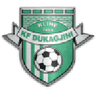 Dukagjini logo