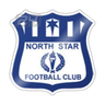 North Star logo