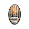 CSF Cricova logo