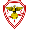 Salgueiros logo