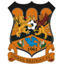 Three Bridges logo