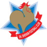 Shanghai Shenxin logo