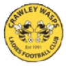 Crawley Wasps W logo
