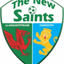 The New Saints U19