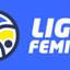 Liga 1 Feminin
