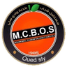 Oued Sly logo