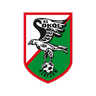 Sokół Kleczew logo