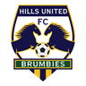 Hills Brumbies logo