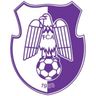 Arges Pitesti logo