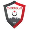 Qabala U19 logo
