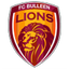 Bulleen Lions