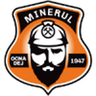 Minerul Ocna Dej logo
