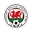 Llanelwy Athletic