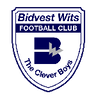 Bidvest Wits logo
