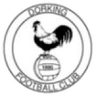 Dorking logo