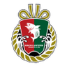 Kochi United logo