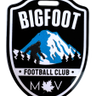 Bigfoot logo
