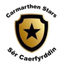 Carmarthen Stars