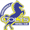 Cumbernauld Colts logo