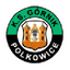 Górnik Polkowice