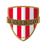 Sokol Brozany logo