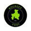 Bourges Foot
