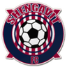 Shengavit logo