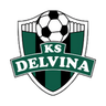 Delvina logo