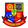 Hoddesdon Town logo