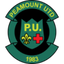 Peamount United W