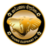 Young Elephant logo