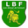 Lion Blessé