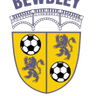 Bewdley Town logo