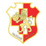 Naxxar Lions logo